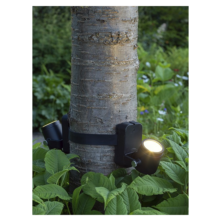 in-lite | Brace - Afbeelding 2