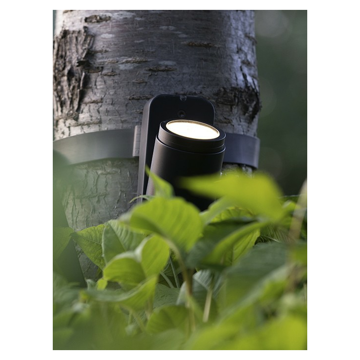 in-lite | Brace - Afbeelding 3