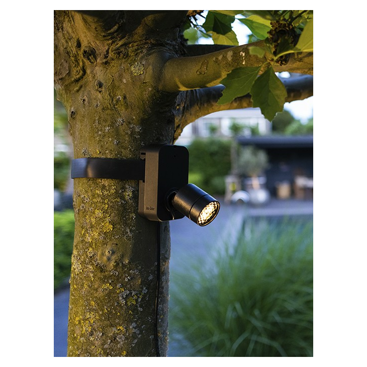 in-lite | Brace - Afbeelding 4