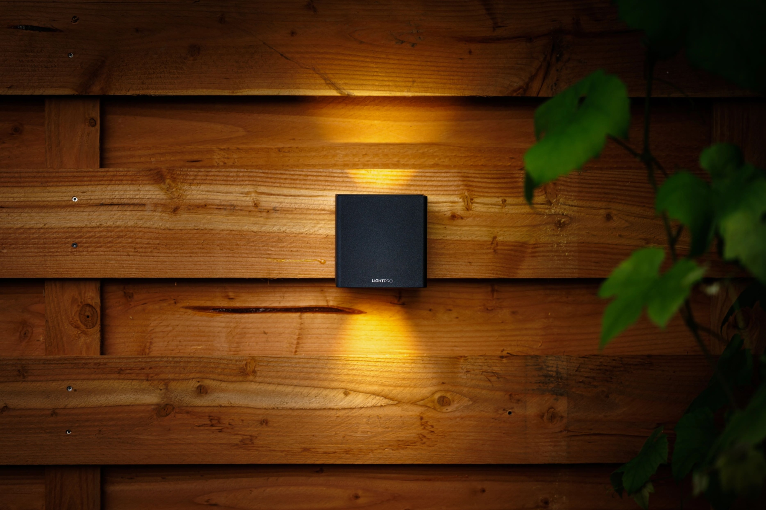 Lightpro | Ixion - wandlamp - Afbeelding 2